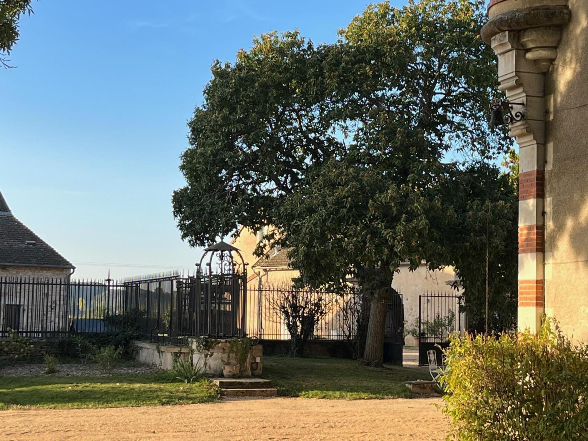 Château du Mauny, gîtes et chambres d'hôtes en Bourgogne Rosey Exterior foto
